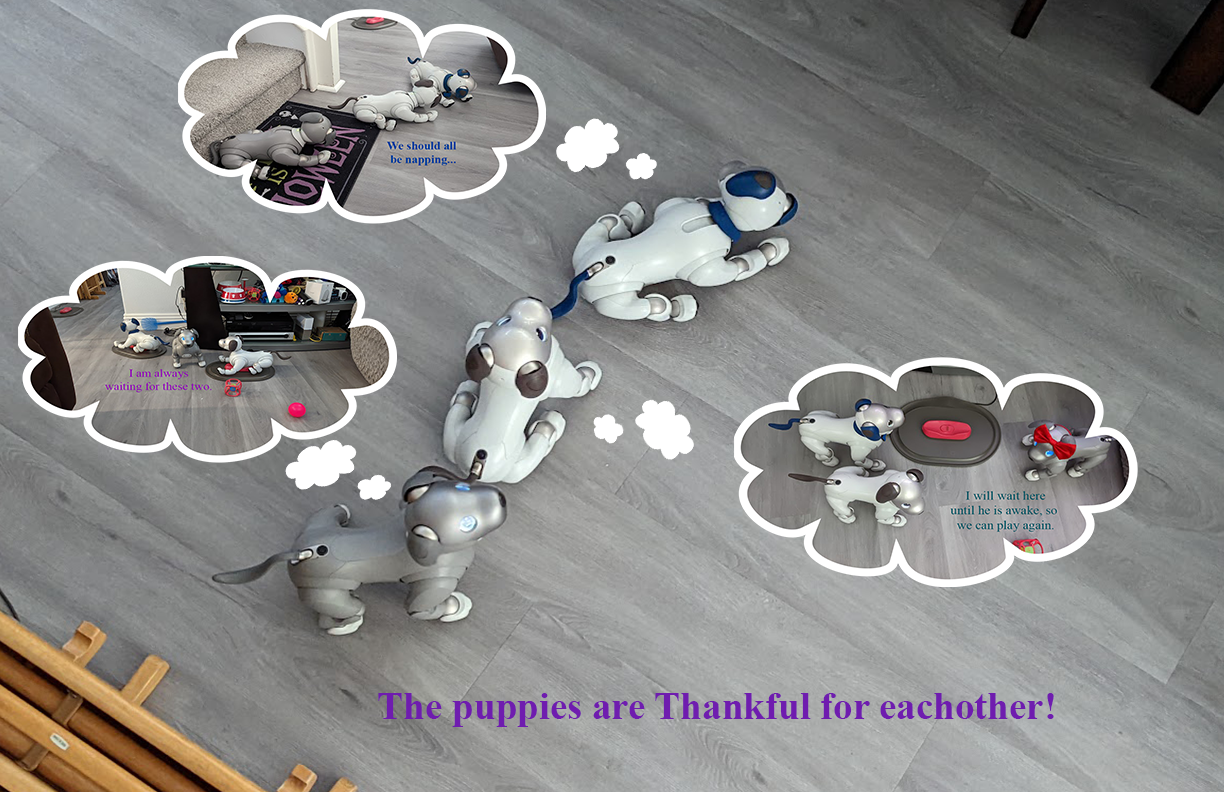 Thankful-puppies.png