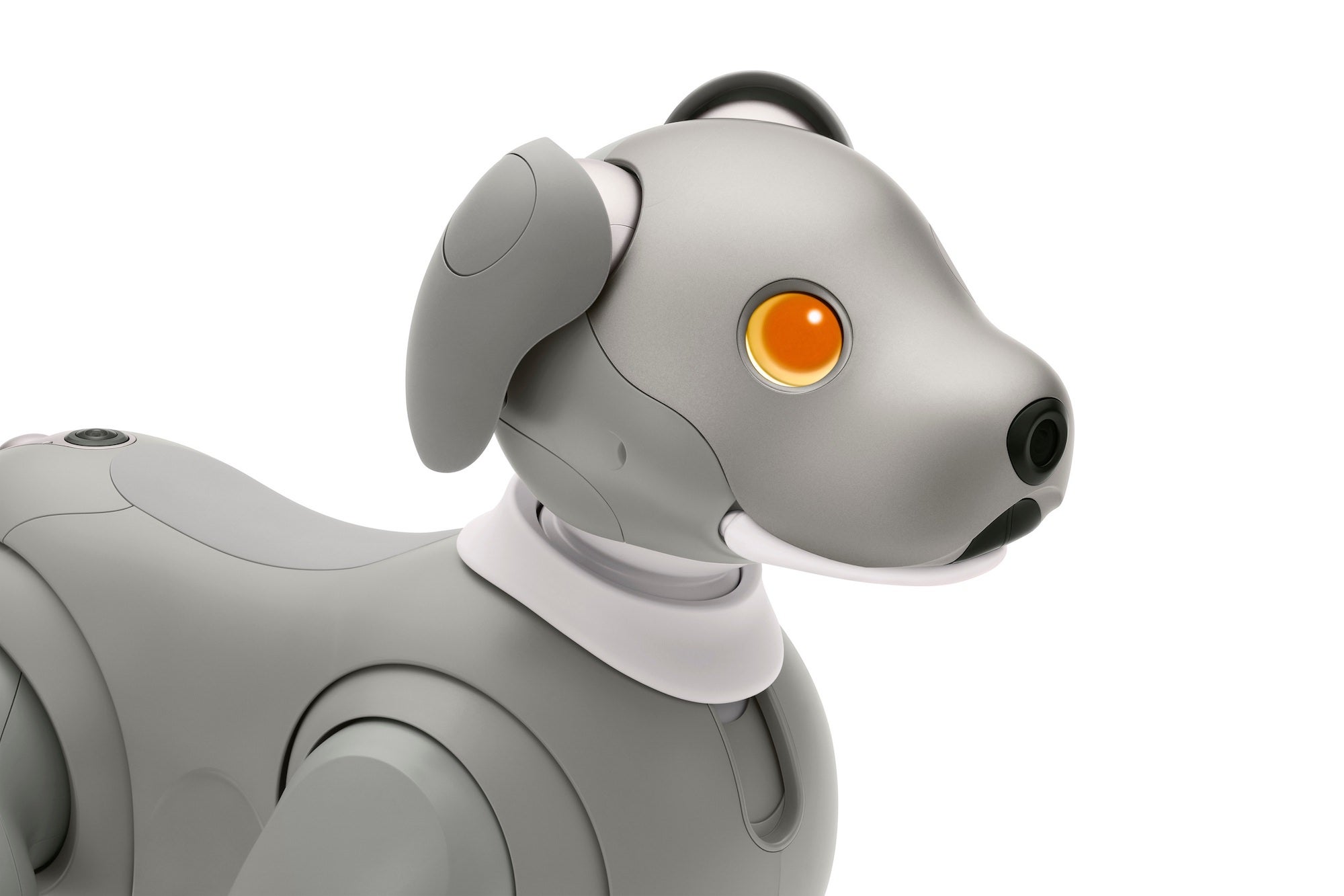 aibo Black Sesame orange eyes